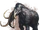 Mammoth