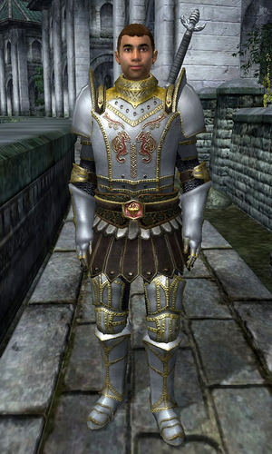 Itius Hayn) — персонаж в игре The Elder Scrolls IV: Oblivion. 