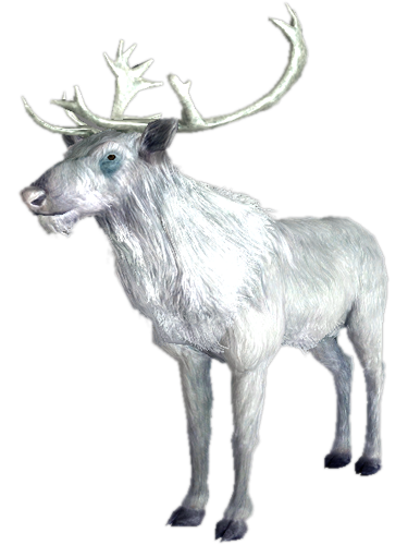 White Stag | Elder Scrolls | Fandom