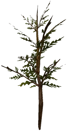 Chokeweed (Skyrim Creation Club)