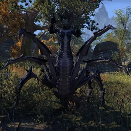 Spider Daedra ESO