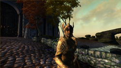 TESIV Character Golden Saint.png