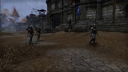 Fort Glademist Patrol.jpeg