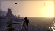 A Nord sits atop an Imperial horse on a beach in Stonefalls.