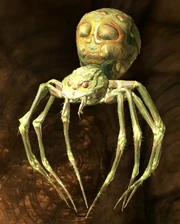 Scroll jumping poison spider