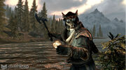 Skyrim-Khajiit-male