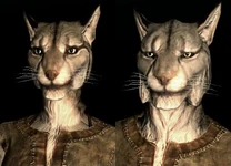 Khajiit (Skyrim) (146 KB) Khajiit