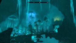 Game (109).jpg