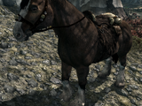 Pferd (Skyrim)