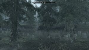 Friedhof.jpg