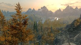 Rift overview