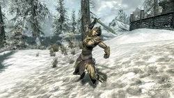 Ein angreifender Soldat der Thalmor