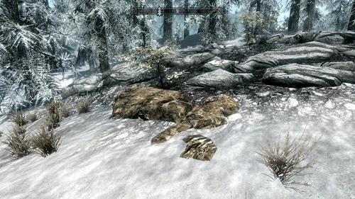 Östlich des Schleierhains