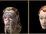 Nord (Morrowind)