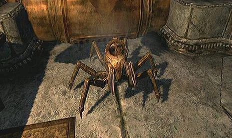 Game (94).jpg (35 KB) Eine Zwergenspinne