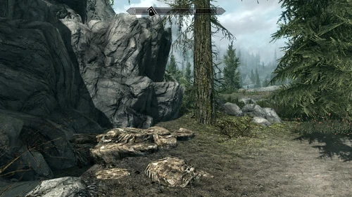 Aum Weg zur Moosmutterhöhle