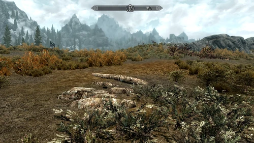 Nordöstlich vom Lager Schlafbaum