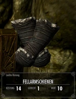 Fellarmschienen
