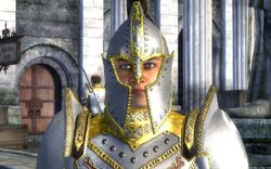 Giovanni Civello..jpg (131 KB) Ein Kaiserlicher Wachhauptmann