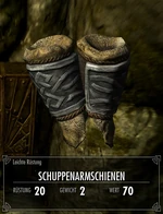 Schuppenarmschienen