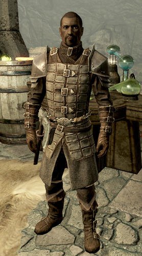 500px-Florentius Dawnguard Armor