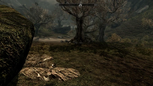 Westlich von Dunkelfeste