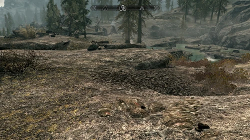 Westlich von Lager Gebrochenes Bein