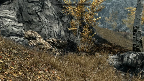 Nordöstlich vom Kaiserlichen Militärlger in Rift