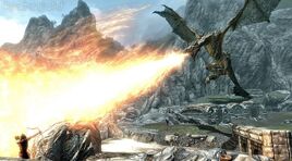 Dragon Fight