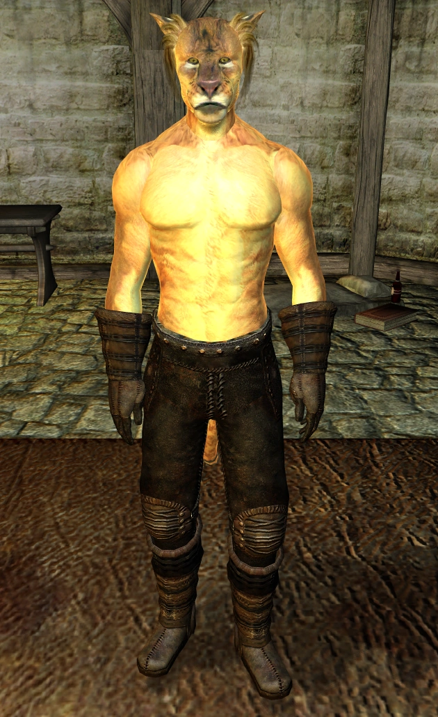 J'Ghasta Elder Scrolls Wiki Fandom