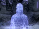 Jiub (Dawnguard)