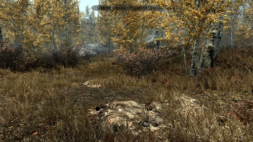 Westlich der Kernholzmühle