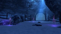 Die verschiedenen Projektionen des .