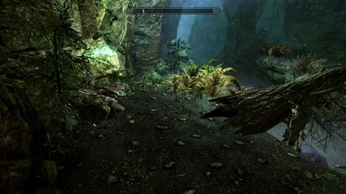 In der Moosmutterhöhle