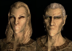 Altmer b1&c1