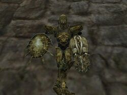 Eine komplette Knochenrüstung, ausgestattet mit Amun-An-Helm und -schulterplatten. Links ein Rundschild, rechts ein Turmschild