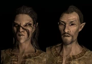 243px-281px-Bosmer (Skyrim)