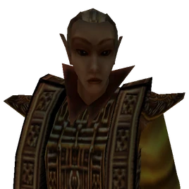 Гальбедір портрет