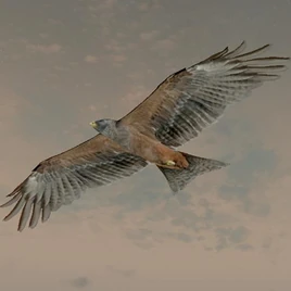 Яструб (Skyrim)