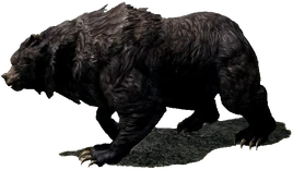 Ведмідь (Skyrim)