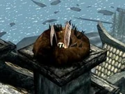 Яструб у гнізді