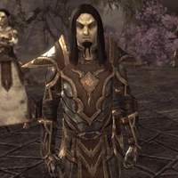 Кімер-чоловік (Online).png (1,76 МБ) Кімер-чоловік у грі TES: Online