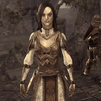 Кімер-жінка (Online).png (1,63 МБ) Кімер-жінка у грі TES: Online