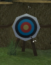 Archery Target