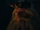 Durin III