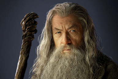 Baldor El Legado Wikia Fandom