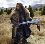 Thorin 03