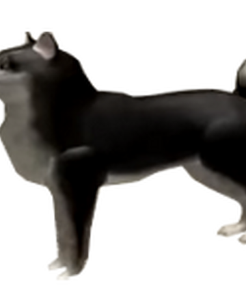 Dog Electric State Darkrp Wiki Fandom - black and white doge roblox
