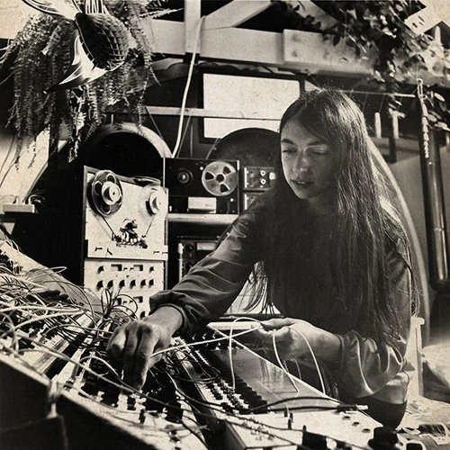 Ciani, Suzanne | Electronic Music Wiki | Fandom