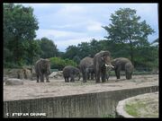 Tierpark Berlin5